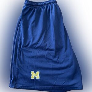 Michigan shorts